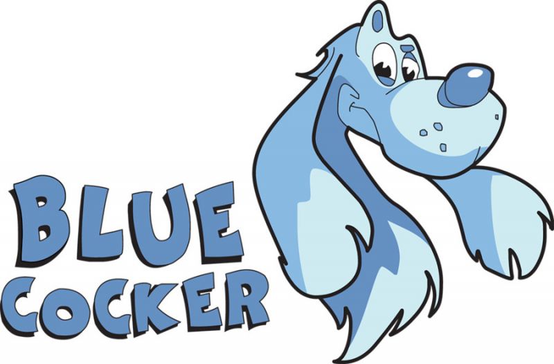 Blue Cocker